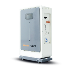 Braun Power WT48300